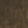 Raw Umber